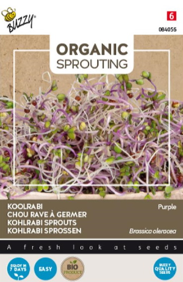 Kohlrabi Sprouts Purple BIO 20 grams